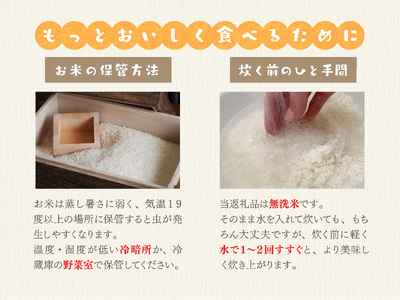 【令和7年度産】長野県産 コシヒカリ 10kg（無洗米） | 米 こめ コメ お米 白米 はくまい 精米 無洗米 コシヒカリ 長野県 松川村 信州