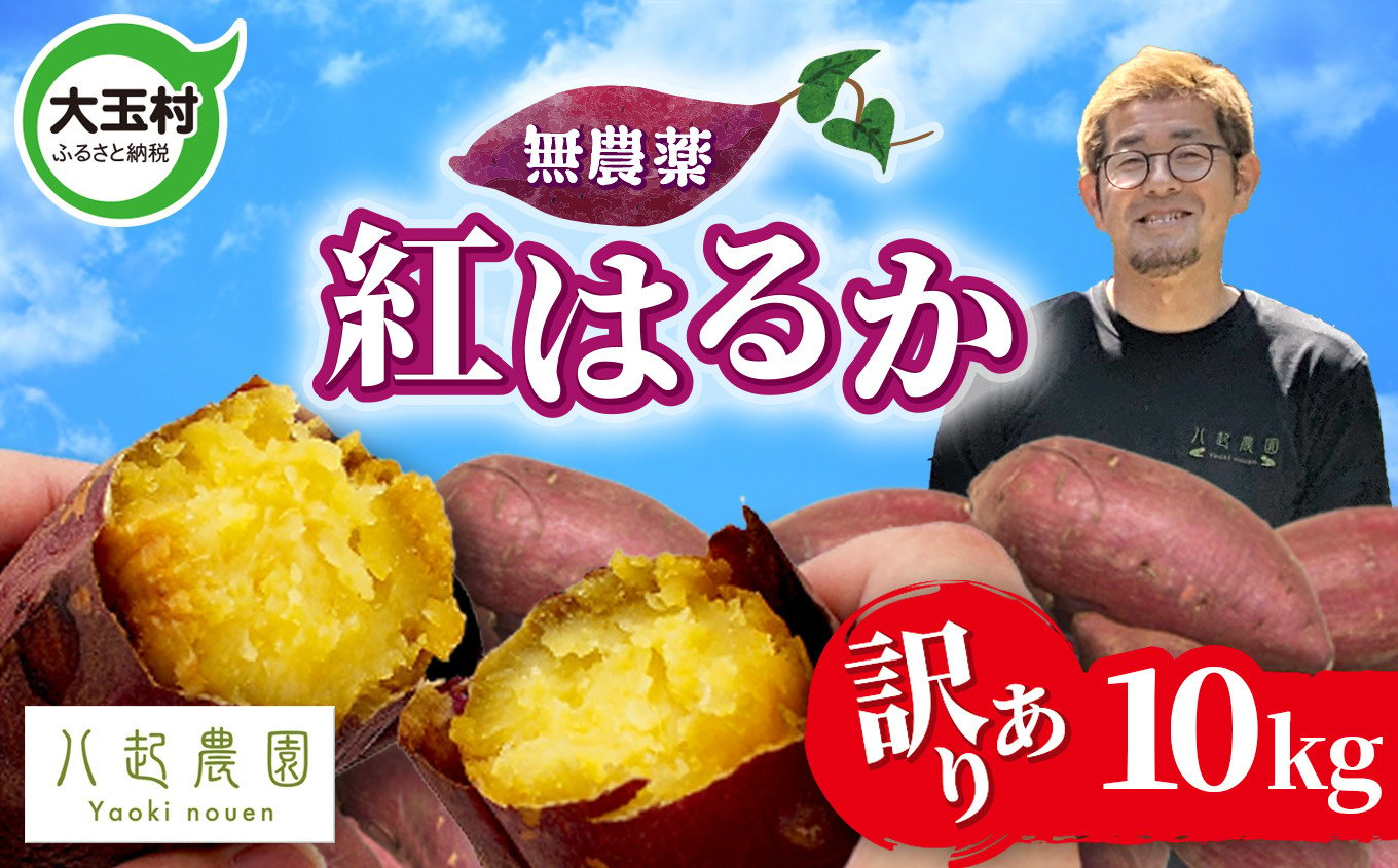 
            訳あり さつまいも 紅はるか 10kg 無農薬 | 規格外 不揃い サイズ混合 国産さつまいも紅はるか わけあり 土付き 芋 スイートポテト サツマイモ  福島県 大玉村 | yn-sm-wa‐b-10kg-r6
          