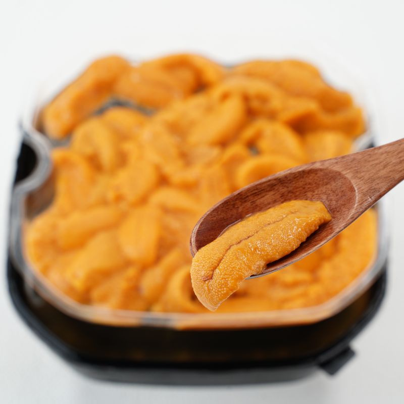 【ふるさと納税】2ヵ月 定期便 うに ロシア産 バフンウニ 塩水パック 100g×2 【マルタク水産】[ 雲丹 ウニ 新鮮 海産物 冷蔵 濃厚 甘い ] 　お届け：2027年2月～6月末まで