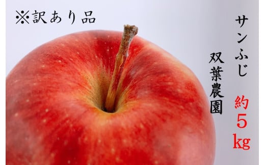237 先行予約 ※訳あり品 りんご サンふじ ５kg【双葉農園】