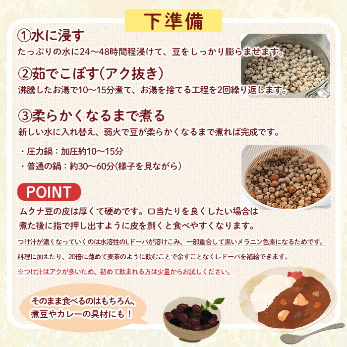 n427 数量限定！種子島産 ムクナ豆(100g) 国産 八升豆 ハッショウマメ 豆 マメ 自然栽培 野菜 【永濱農園】