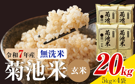 令和7年産 熊本県産 菊池米 無洗米 玄米 20kg 1袋5kg 株式会社くまもとごはん 《30日以内に出荷予定(土日祝除く)》米 お米 令和7年産 九州産 熊本県産  送料無料