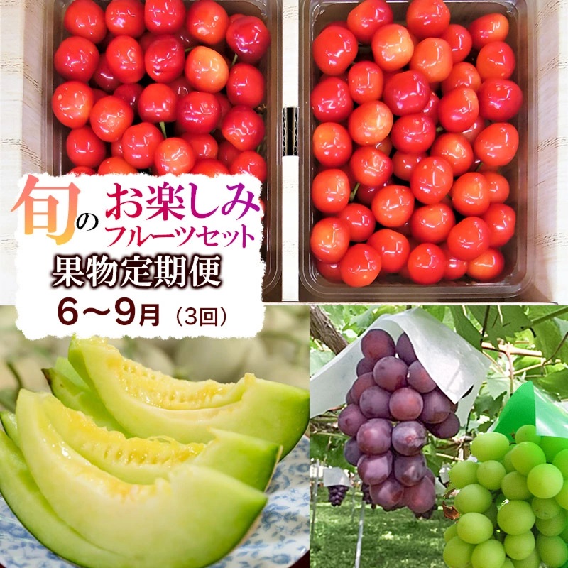 【定期便】【令和8年産先行予約】 山形県鶴岡産 旬のお楽しみフルーツセット (果物) さくらんぼ・メロン・大粒ぶどうの詰合せ (計3回)　産直あぐり