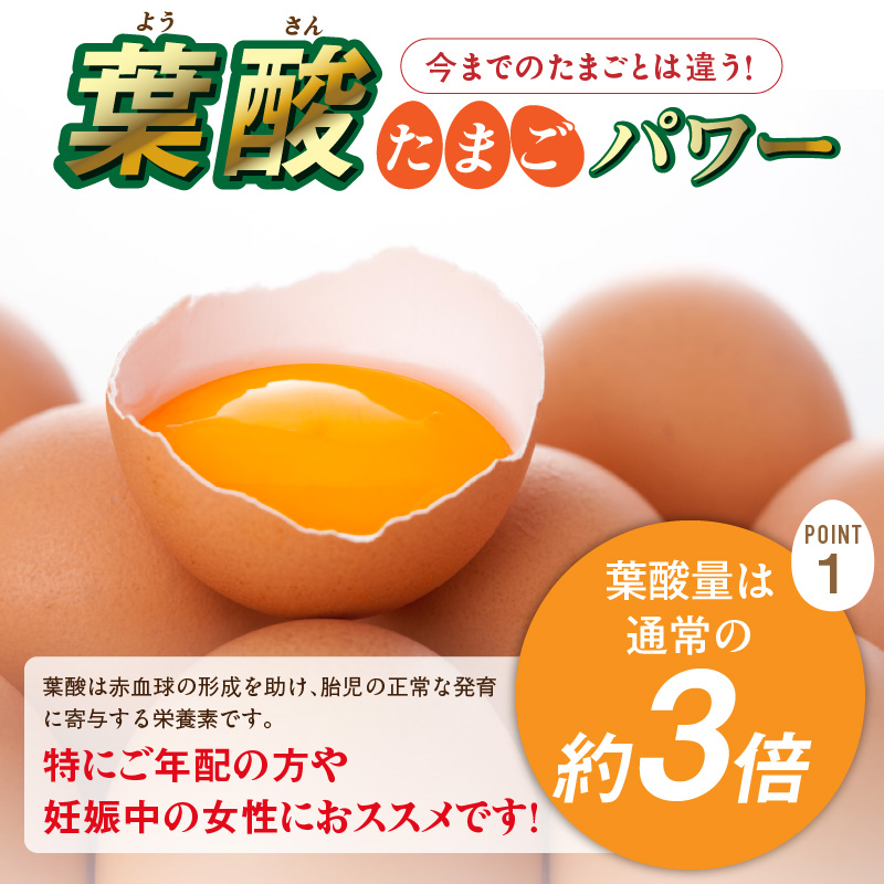【山ちゃん家の生みたて葉酸たまご】名古屋コーチン卵（30個入り）［132Y01］_イメージ4