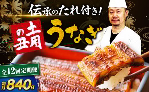 鰻【全12回定期便】うなぎ 蒲焼き 冷蔵 真空パック 6尾セット（2尾×3箱）ウナギ 絶品 国産 うな丼 鰻丼 うな重 鰻重 かば焼き 蒲焼 高級 丑の日 土用の丑の日 おすすめ 人気 お取り寄せ 送料無料 贈答 冷蔵 真空パック ギフト グルメ 惣菜 簡単調理 時短 湯煎 栄養満点 健康 贅沢 ご褒美 逸品 極上 ふっくら ふわふわ 食感 愛媛県大洲市/有限会社 樽井旅館[AGAH023]