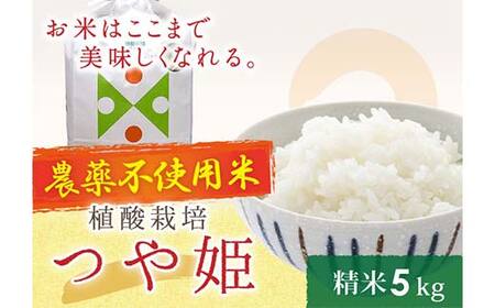 植酸栽培米つや姫（農薬：栽培期間中不使用）（精米）5kg F2Y-4411