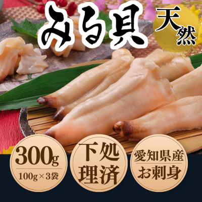 ふるさと納税 南知多町 【貝専門店】天然 白ミル貝 100g×3袋 岬だより