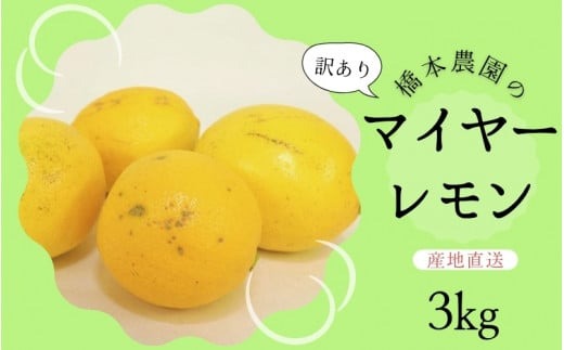 【先行予約】橋本農園の 訳あり マイヤーレモン 3kg【2026年12月中旬から2027年1月中旬までに順次発送】 / レモン マイヤーレモン 檸檬 先行予約 家庭用 ご家庭用【mht008A】