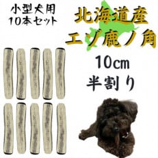 鹿の角 半割り 10cm 10本 犬のおもちゃ デンタルケア 小型犬用