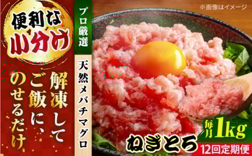 【全12回定期便】まぐろ ねぎとろ 約1kg（約250g×4パック） 鮪 マグロ 魚 ネギトロ 横須賀【横須賀商工会議所 おもてなしギフト事務局（本まぐろ直売所）】 [AKAK037]