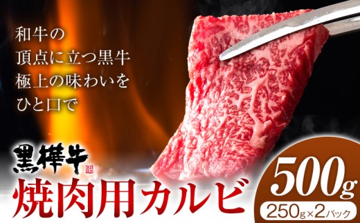 くまもと黒毛和牛 黒樺牛 A4～A5等級 焼肉用カルビ 500g 株式会社杉本本店 《90日以内に出荷(土日祝除く)》熊本県 菊池市 牛肉 牛 霜降り 赤身 お肉 焼き肉 BBQ 黒毛和牛 国産 九州