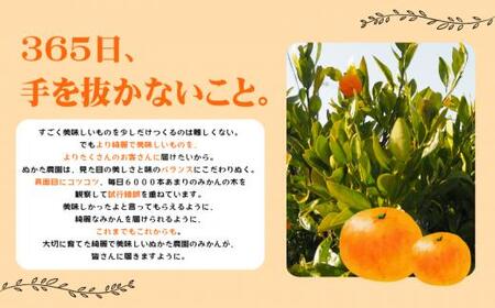 濃厚な味わい ご家庭用 ゆら早生みかん　約4kg　サイズ混合【10月上旬より発送】希少品種《有機質肥料100％》※2025年10月上旬より順次発送予定【nuk162A】