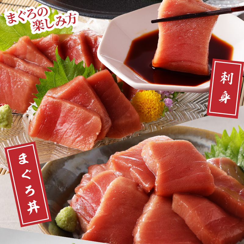鷹島産本まぐろ 中トロ400g(まぐろ丼たれ付き)( マグロ まぐろ 鮪 本まぐろ 本マグロ 中トロ 切り落とし )【C0-024】