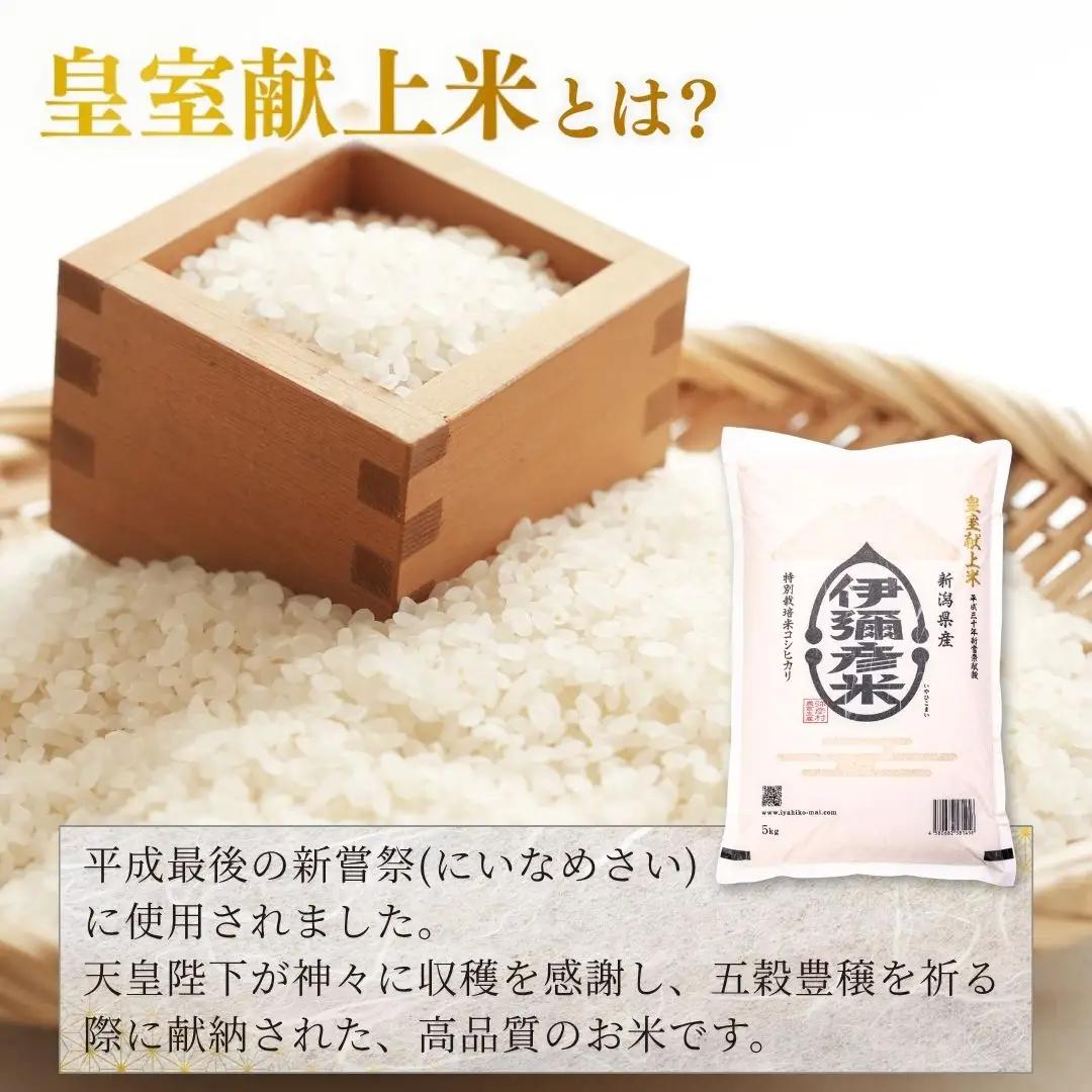 【2027年2月発送】令和8年産 伊彌彦米 10kg(5kg×2袋) 新潟県産コシヒカリ 精米
