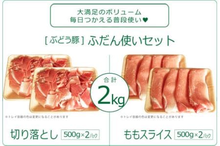 綾ぶどう豚ふだん使いセット2kg（500g×2パック×2種）（36-198）