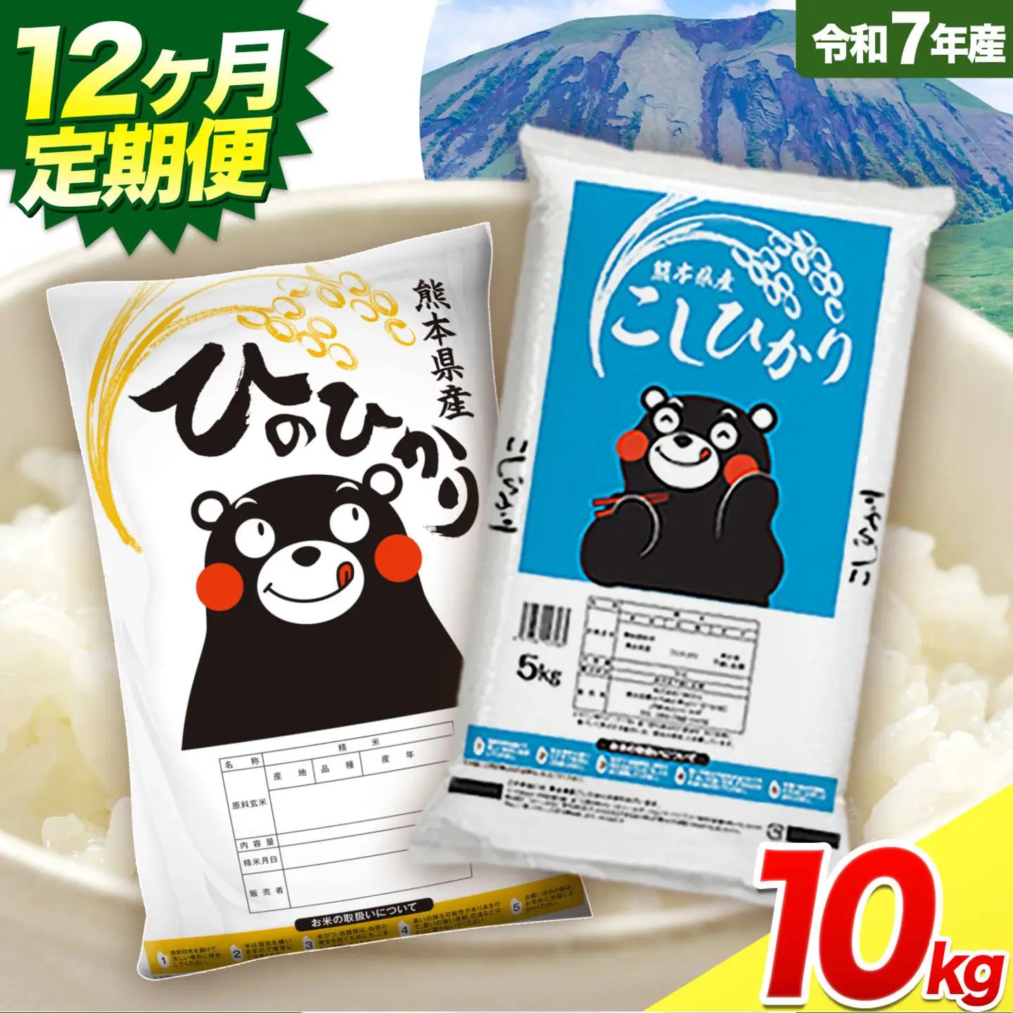 【12ヶ月定期便】令和7年産 米 無洗米 ひのひかりこしひかり 食べ比べ 10kg《お申込み翌月から出荷》 白米 精米 無洗米 熊本県産(南阿蘇村産含む) 単一原料米 南阿蘇村 ひの こし 送料無料 熊本県 SDGs 米 コメ こめ 国産 定期便