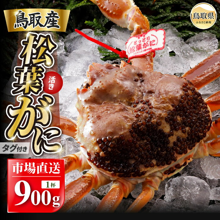 【ふるさと納税】F25-020 【2025年12月発送】特撰 松葉がに（なま）【ブランドタグ付き】900g超の大きいサイズ 食べ応えあり 特大1杯ズ 食べ応えあり 特大1杯