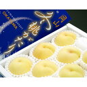【ふるさと納税】岡山県産 冬桃がたり 6個入り（約1200g） | フルーツ 果物 くだもの 食品 人気 おすすめ 送料無料