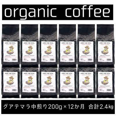 ふるさと納税 福岡市 【毎月定期便】ANDTHESOIL.焙煎オーガニックコーヒー豆GUA中煎り200g ME33全12回