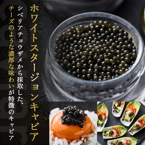 キャビア 皇帝の涙2種食べ比べ オシェトラ ホワイトスタージョン