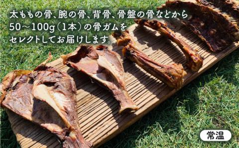 中型犬向け☆天然いのししのスモーク骨ガム4本【わんこin食堂】 [FCG054]
