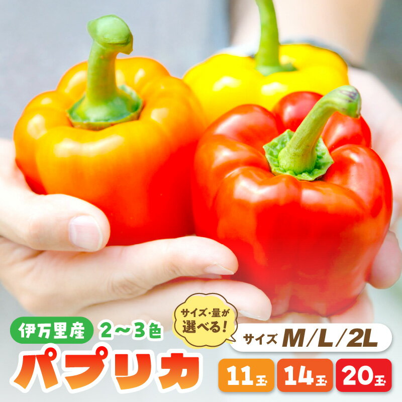 【ふるさと納税】伊万里産 肉厚ジューシー パプリカ Mサイズ20玉入 Lサイズ14玉入 2Lサイズ11玉入 2L サイズ 20玉入