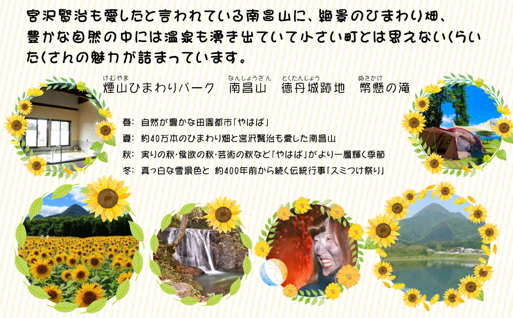 岩手県矢巾町（やはばちょう）応援寄附金（※返礼品なし）100,000円