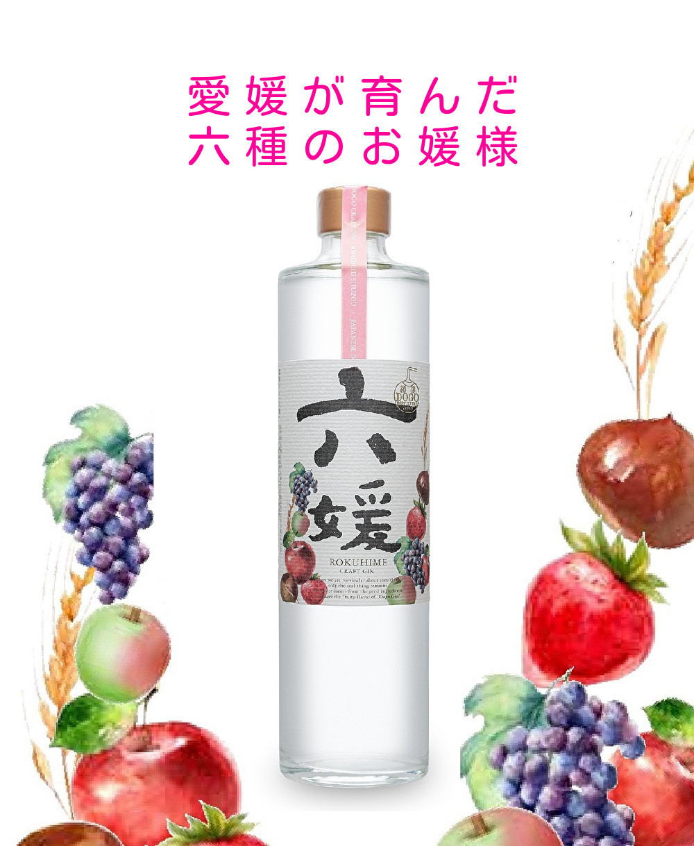 
            道後ジン 六媛　クラフトジン　スピリッツ　愛媛県産　ボタニカル　500ml｜C02
          