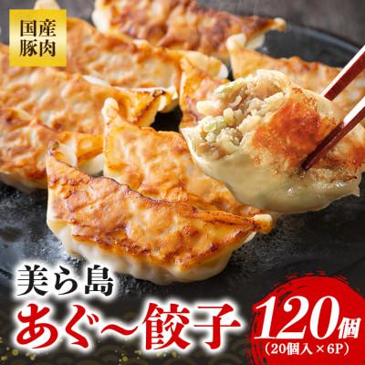 ふるさと納税 糸満市 沖縄高級ブランド豚 濃厚な肉汁が溢れる!美ら島あぐー餃子 20個入(400g)×6パック合計120個