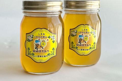 水のきれいな浜田市金城町産「いわみの里山 純粋はちみつ」500g×2本【184_1904】