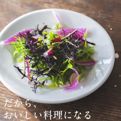 【毎月定期便】しあわせ野菜畑の有機野菜　Mセット　(安心の有機JAS認証　オーガニック野菜)全3回【配送不可地域：離島・北海道・沖縄県・四国・九州】