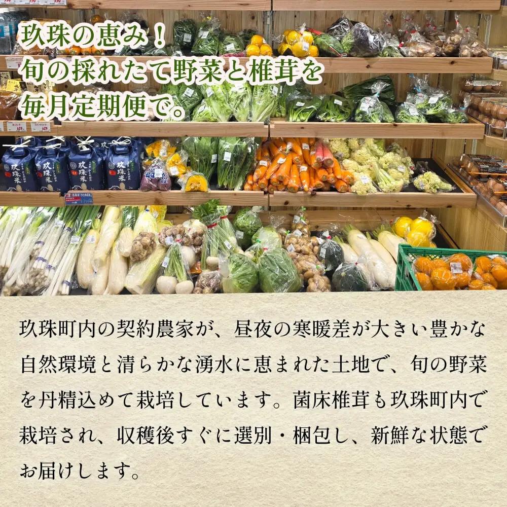 【ふるさと納税】6回定期便　玖珠の 旬野菜 ・ きのこ 6-10品 詰め合わせ  ｜ 大分県玖珠町 野菜 きのこ 旬 定期便 冷蔵 産地直送 新鮮 お取り寄せ