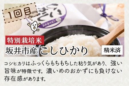 【令和7年産】 定期便 ≪3ヶ月連続お届け≫ 福井県発祥のお米 3種食べ比べ 5kg × 3回 計15kg【 人気 品種 ブランド米 特A 】 [E-6106]