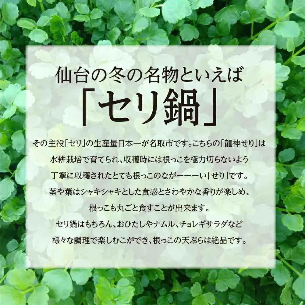 【期間限定】根っこがながーーーい 仙台龍神せり(500g)4～5人前