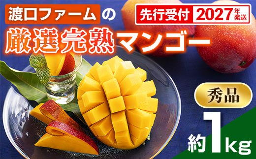 
                  【化粧箱入】【先行受付・2027年発送】渡口ファームの厳選完熟マンゴー 【秀品】 約1kg - 先行予約 沖縄県産 産地直送 アップルマンゴー 南国フルーツ 旬の味覚 季節の果物 贈り物 ギフト 沖縄県 八重瀬町
                