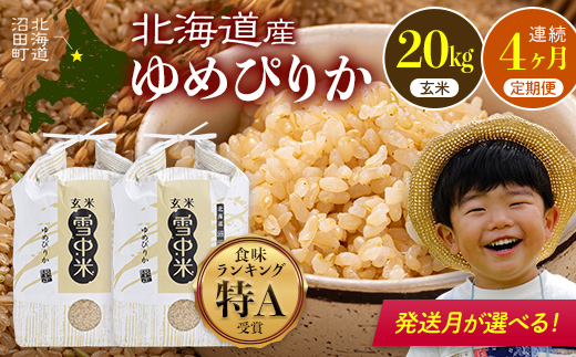 
                  令和8年産【定期便4ヶ月】ゆめぴりか 玄米 20kg（10kg×2袋）【発送月が選べる】開始 雪冷気 籾貯蔵 雪中米 北海道  nr-3576var
                
