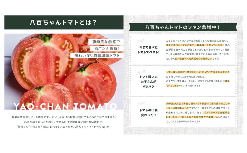 【定期便・全6回】トマト農家の本格パスタソース ガーリック味 120g 2本セット × 6回｜国産 姫路市産 完熟八百ちゃんトマト 万能調味料
