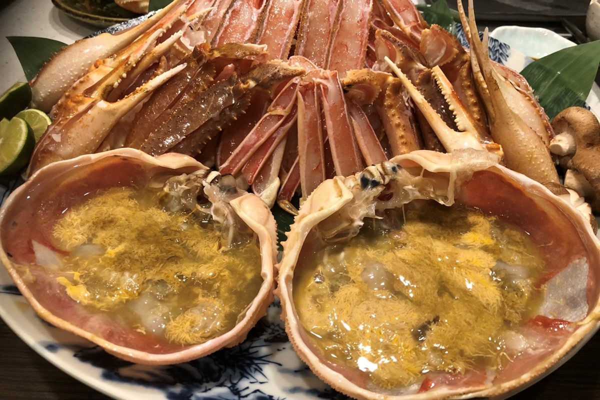 【幻のズワイ蟹】京丹後産 活間人蟹 鮮度抜群、活きたままお届け！！ 800g級×1杯　YK00081