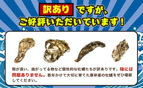 訳あり 規格外 牡蠣 北海道厚岸産 殻付カキ 約4kg (25～50個) カキナイフ付 生食