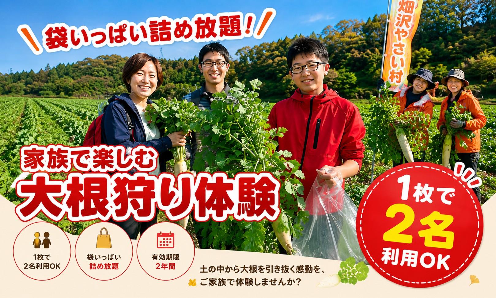 
                  【収穫体験】大根狩り チケット 1枚～3枚 収穫体験 取り放題 野菜 だいこん 詰め放題 農業体験 ファミリー向け 岩手県 一関市 藤沢町 畑沢やさい村
                