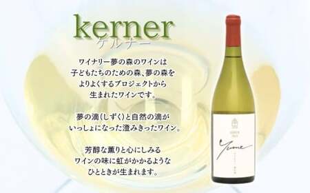 【数量限定】余市「ワイナリー夢の森」ケルナー2023 750ml 《３本セット》_Y034-0120