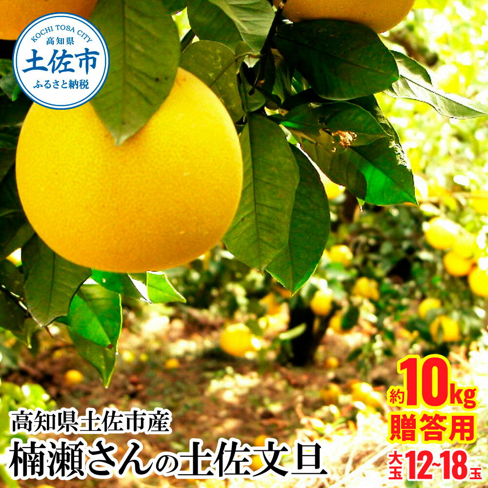 【ふるさと納税】高知県土佐市産 楠瀬さんの土佐文旦 贈答用大玉 約10kg 期間限定 高知 土佐 文旦 ぶんたん ブンタン 柑橘 みかん 果物 10キロ 3L～4Lサイズ 12～18玉 フルーツ 大玉 旬 ギフト お取り寄せ 常温 高知県 土佐市 ふるさとのうぜい 故郷納税 返礼品