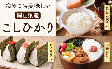 岡山県産 こしひかり 10kg(5kg×2袋)  精米 全農パールライス株式会社《30日以内に出荷予定(土日祝除く)》 岡山県 浅口市 送料無料 こめ 精米 コシヒカリ