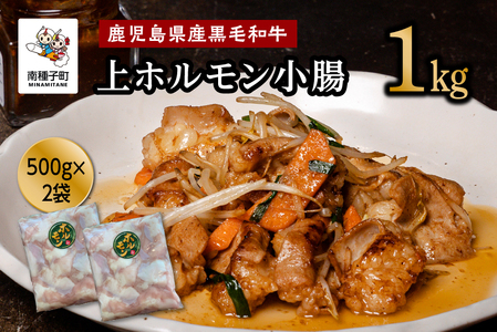 鹿児島県産黒毛和牛 上ホルモン小腸1kg（500ｇ×２袋）【Meat you Kitchen姫ファーム】