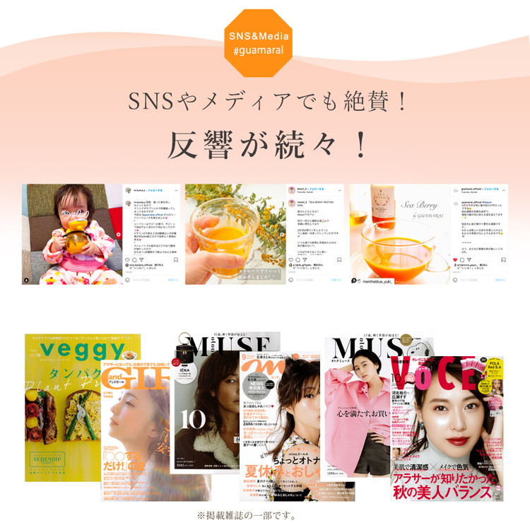 サジー グアマラルサジー【お試し】サジー 360ml｜サジージュース サジー シーベリー 沙棘 グアマラル 健康ドリンク 健康 美容 栄養 果汁 鉄分補給 栄養補給 健康食品_DX16