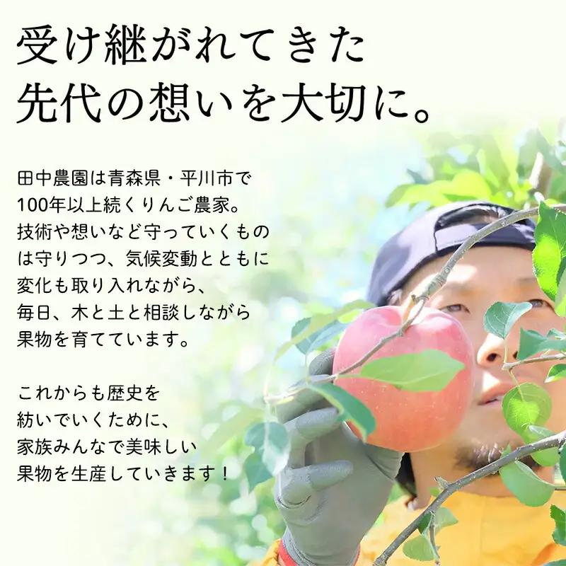 りんご 家庭用サンふじ 約5kg 青森県平川市産[hi-0039-007]