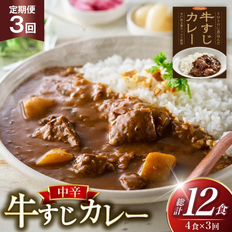 【ふるさと納税】カレー セット 牛 すじ カレー 4食 セット 中辛 3回 定期便 [カレー工房NVfoods 長崎県 平戸市 hr42bgy400036] カレー スパイス レトルト セット
