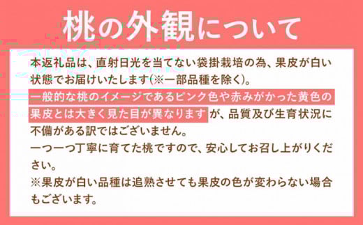 【2026年先行予約開始！】おかやま白桃 もも 桃 1kg 3~5玉前後 岡山県産 ご家庭用《2026年6月下旬-9月下旬頃出荷》岡山県 浅口市 厳選出荷 白桃  白鳳 清水白桃 おかやま夢白桃 川中