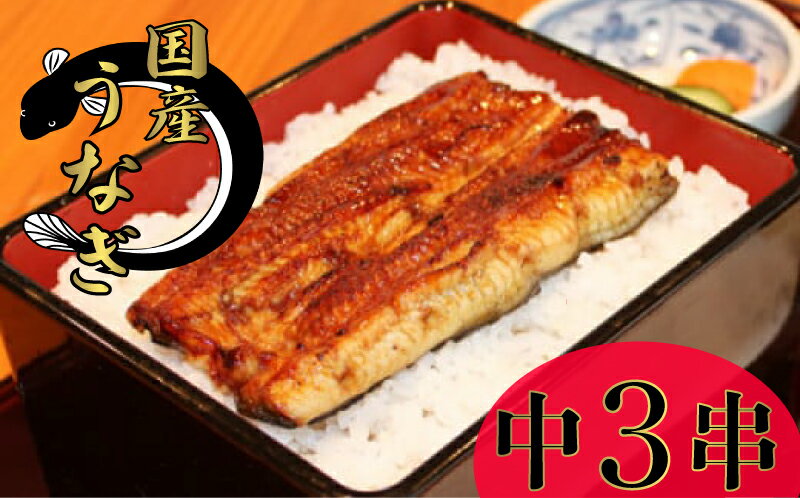 【ふるさと納税】 国産うなぎ 中3串 うなぎ 蒲焼 グルメ 鰻 ウナギ ブランド 冷凍 加工品 惣菜 セット お取り寄せ 国産 土用の丑の日 千葉県 銚子市