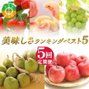 【ふるさと納税】 2025年先行受付 【定期便5回】美味しさランキング ～ベスト5～ さくらんぼ 桃 シャインマスカット ラ・フランス りんご 山形県 中山町 F4A-0490